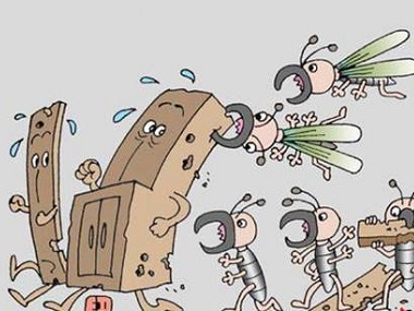 南海白蚁验收中心专家杀死白蚁有没有更好的办法