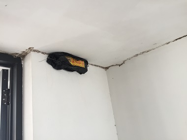 桂城白蚁防治公司冬季是灭白蚁的最好时机